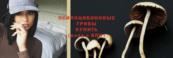 кокс Аркадак
