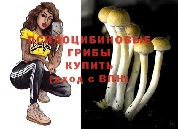 каннабис Арсеньев
